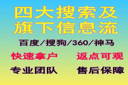 百度竞价广告投放全解析：成功案例揭秘